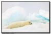 Harp Seal, Quebec